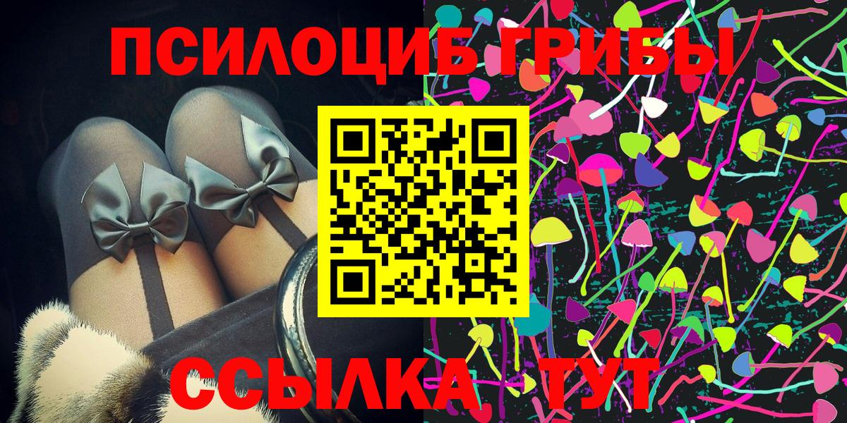 магазин  наркотиков  Галлюциногенные грибы Psilocybine cubensis  Вход с VPN  Саяногорск 